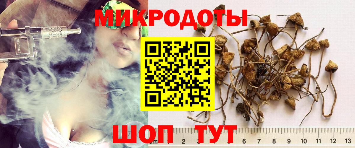 Нижний Новгород  Псилоцибиновые грибы прущие грибы  Вход с VPN 
