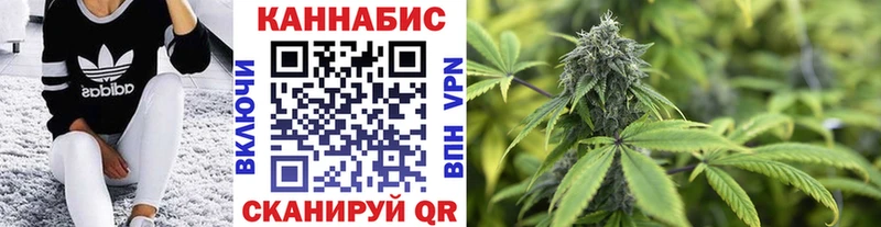 Бошки Шишки сатива наркотики Нижний Новгород